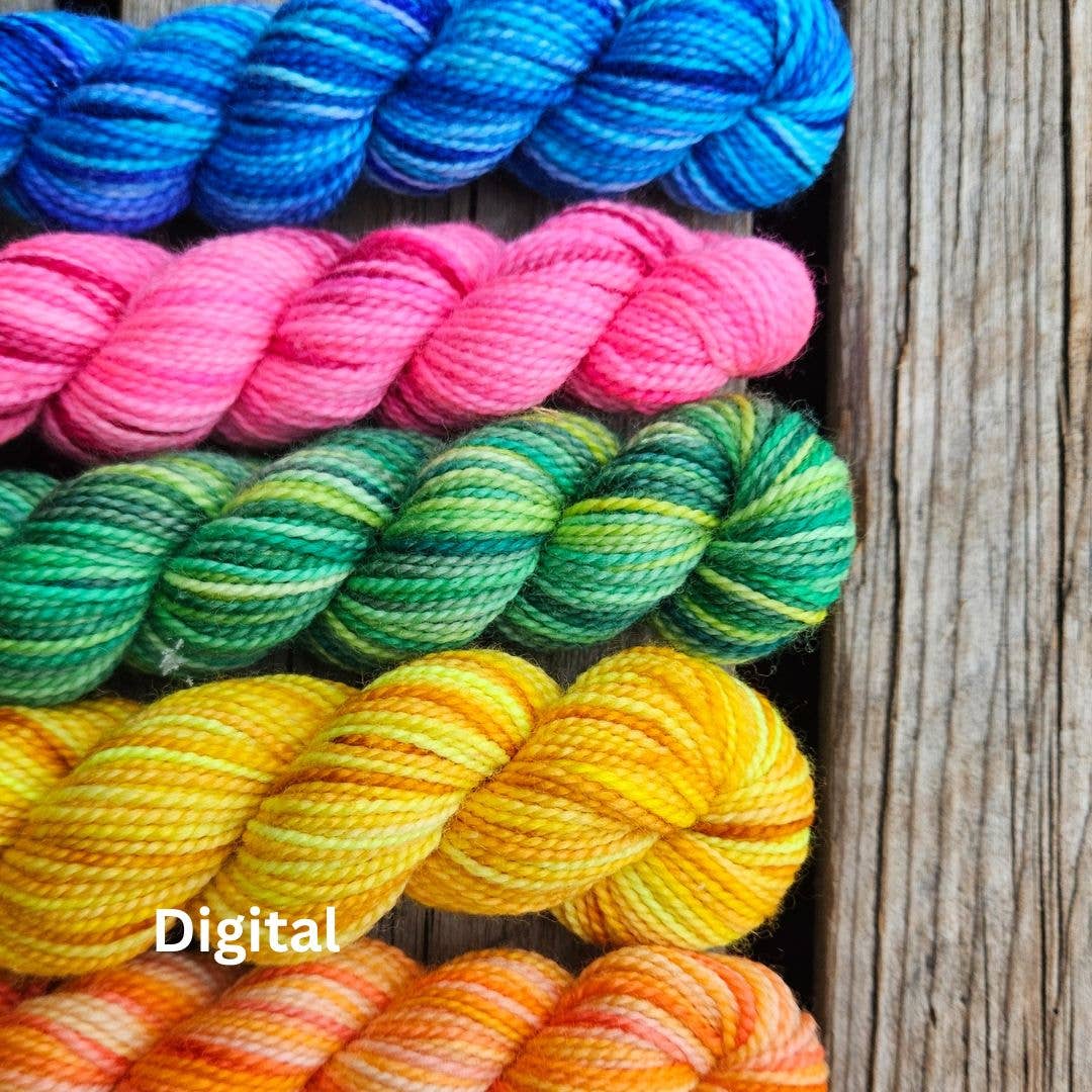 Koigu Wool Designs Koigu Paint cant (verfblikjes merino garen)