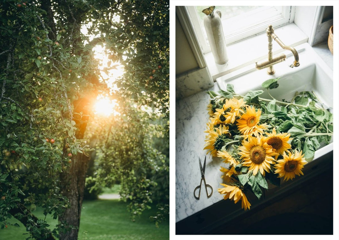 Cozy Publishing Nordic Summer Cookbook